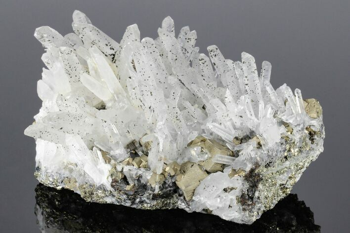 Quartz and Pyrite Association - Pyrite Crystal Inclusions! #178365